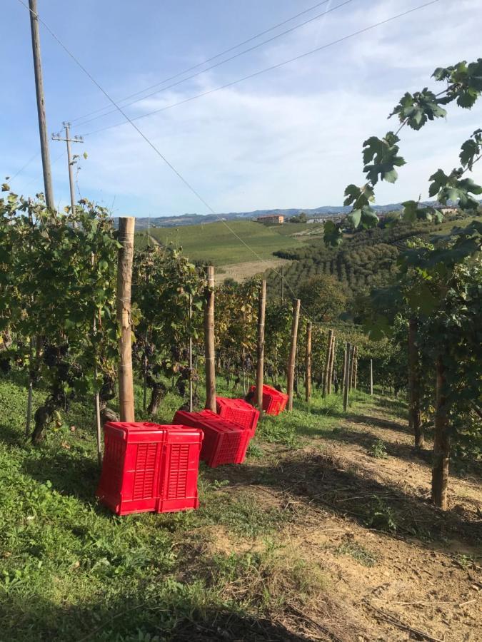 Il GrecAle - Ristorante e camere La Morra Esterno foto